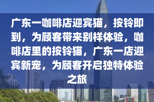 廣東一咖啡店迎賓貓，按鈴即到，為顧客帶來別樣體驗，咖啡店里的按鈴貓，廣東一店迎賓新寵，為顧客開啟獨特體驗之旅